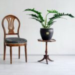 گلدان آپارتمانی فیلدندرون کوچک با دیزاینی زیبا