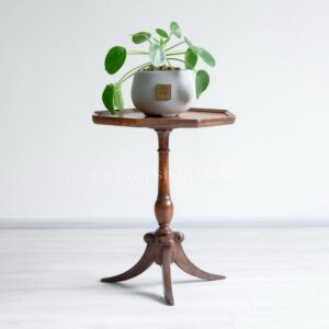 گیاه پول چینی یا پیله آ