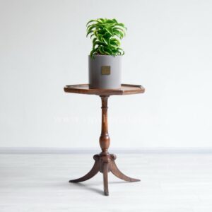 گیاه آپارتمانی دراسنا تورنادو