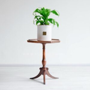 دراسنا دورادو روی میز