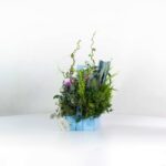 باکس گل B275 - Image 11