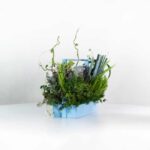 باکس گل B275 - Image 12