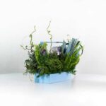 باکس گل B275 - Image 13