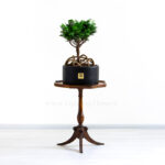گلدان آپارتمانی بونسای کاج نانا - Image 2