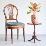 گلدان آپارتمانی آگلونما صورتی روی میز کنار صندلی