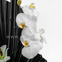 ارکیده های سفید در گل ترحیم شماره 57 تسلی بخش هستند.