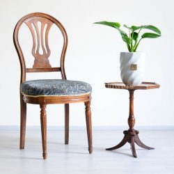 خرید گیاه فیلودندرون برکین سبز