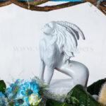 بز نماد ماه دی است.