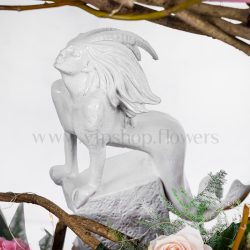 بز نماد ماه تولد دی