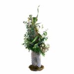 باکس گل B277 - Image 46