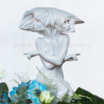 دوقلو نماد ماه خرداد است.