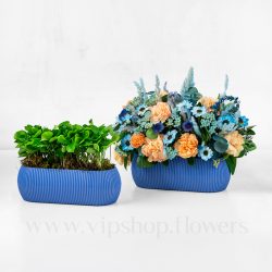 گل های سبد گل هفت سین فیروزه ای
