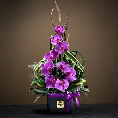 باکس گل تماشایی با گل های ارکیده در تبریز