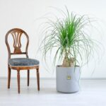 لیندا همراه با گلدانی سفالی