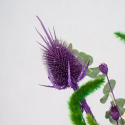 جزئیات بنفش باکس گل شماره 269 بسیار سرزنده است.