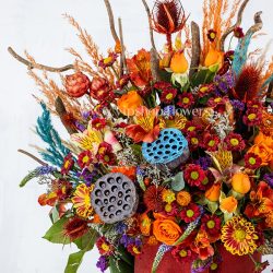 باکس گل هیجان انگیز، بسیار شاد است.