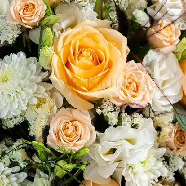 باکس گل B311 - Image 2