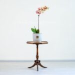 ابعاد گلدان ارکیده لیمویی بنفش خالدار مناسب است.