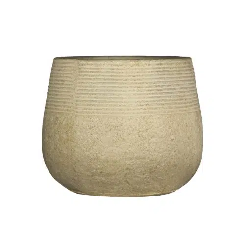 گلدان کوزه ای شکل شیک و خاص است.