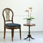 گل ارکیده بنفش لیمویی روی میز