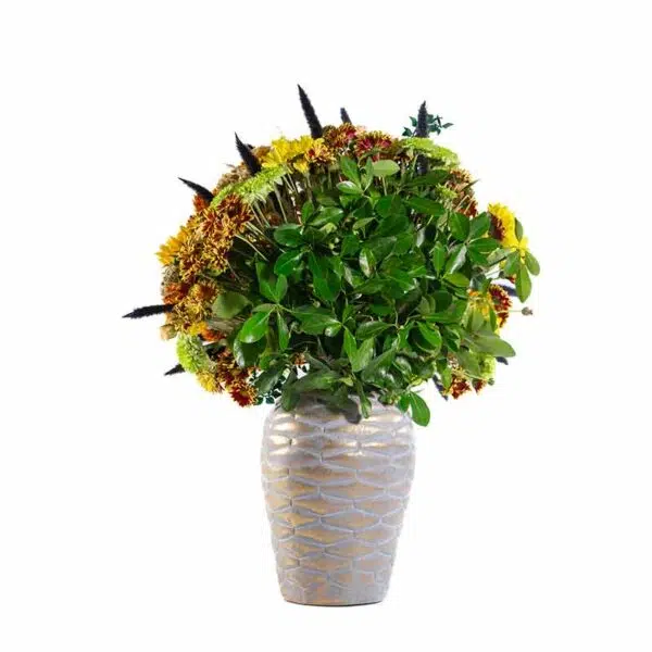 باکس گل B342 - Image 21