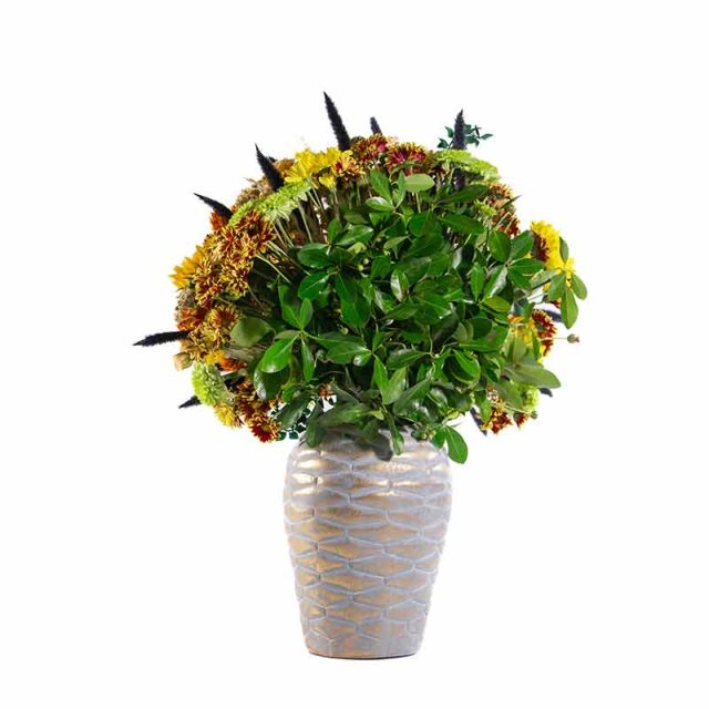 باکس گل B342 - 21