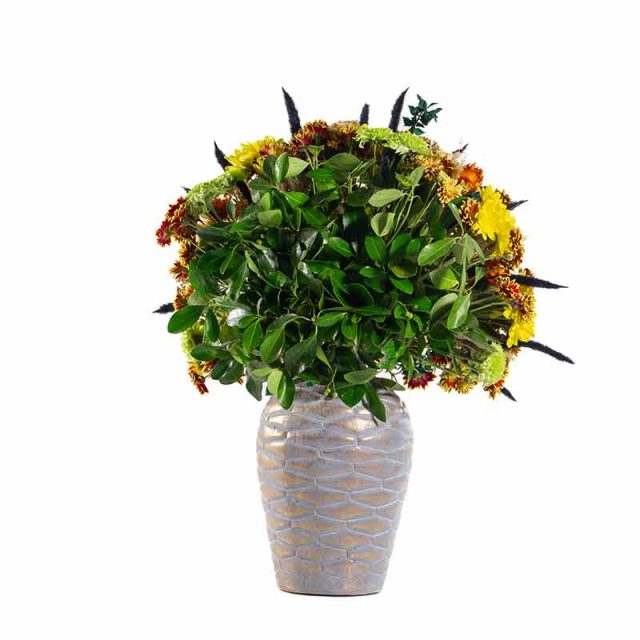 باکس گل B342 - 27