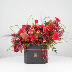 گل یلدای Y17 - 2