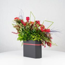 گل یلدای Y17 - 27