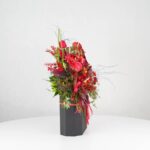 گل یلدای Y17 - Image 34