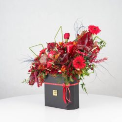 گل یلدای Y17 - 9