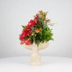 گل یلدای Y20 - Image 3