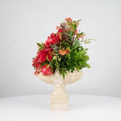 گل یلدای Y20 - 3