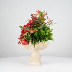 گل یلدای Y20 - 4