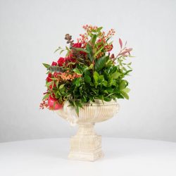 گل یلدای Y20 - 5