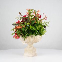 گل یلدای Y20 - 6