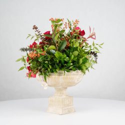 گل یلدای Y20 - 7