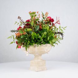 گل یلدای Y20 - 8