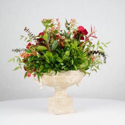 گل یلدای Y20 - 9