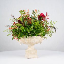 گل یلدای Y20 - 10