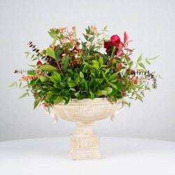 گل یلدای Y20 - 11