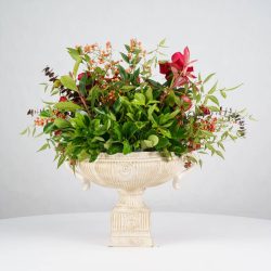 گل یلدای Y20 - 12