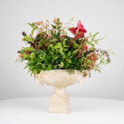 گل یلدای Y20 - 13