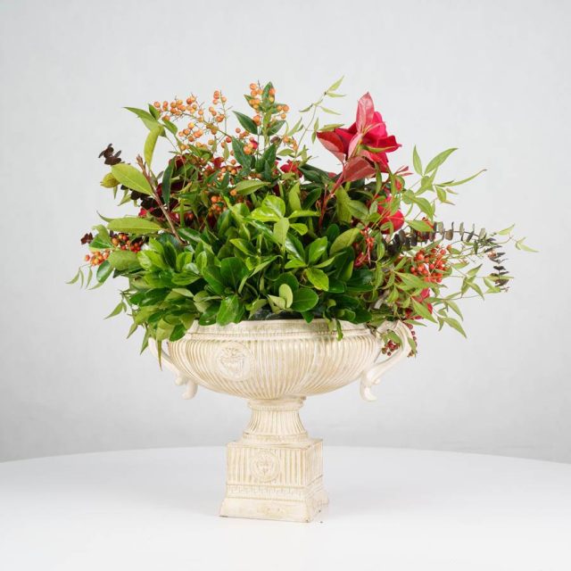 گل یلدای Y20 - 13