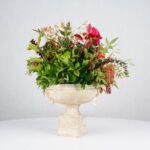 گل یلدای Y20 - Image 14