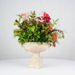 گل یلدای Y20 - 14