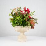 گل یلدای Y20 - Image 15