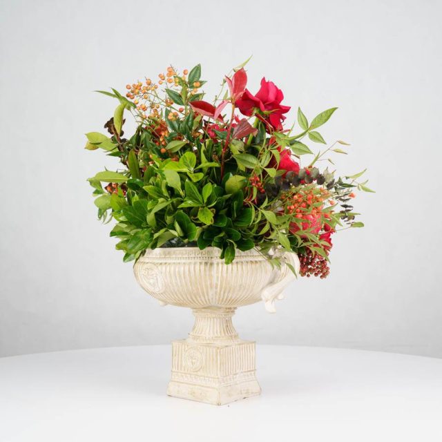 گل یلدای Y20 - 15