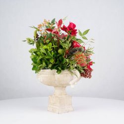 گل یلدای Y20 - 16