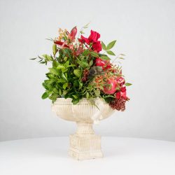 گل یلدای Y20 - 17